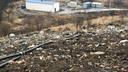 Будет вам экологическая безопасность: власти успокаивают ярославцев, возмущённых московским мусором