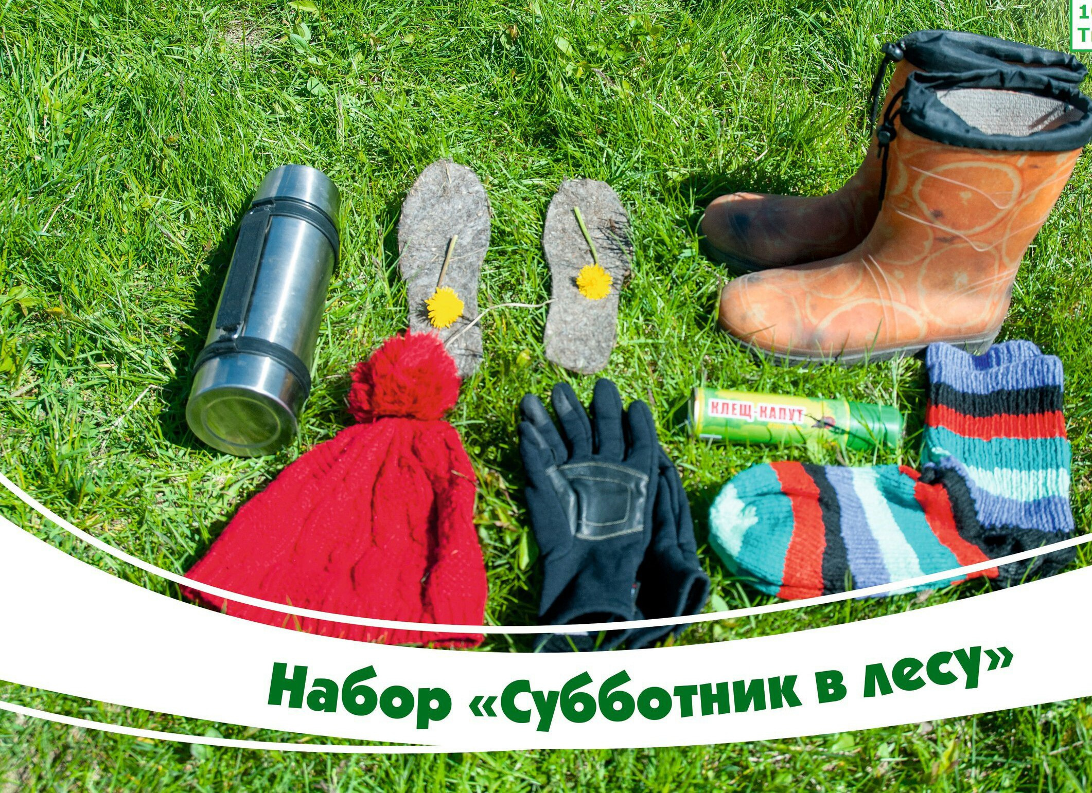 Для выезда в лес необходимо подготовиться. Минимальный набор нужных вещей Для выезда в лес необходимо подготовиться. Минимальный набор нужных вещей