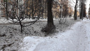 Сказ о безопасном реагенте: в Ярославле грязный снег с дорог тает на газонах