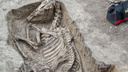 Древнее захоронение коня нашли на Станиславского в Ростове