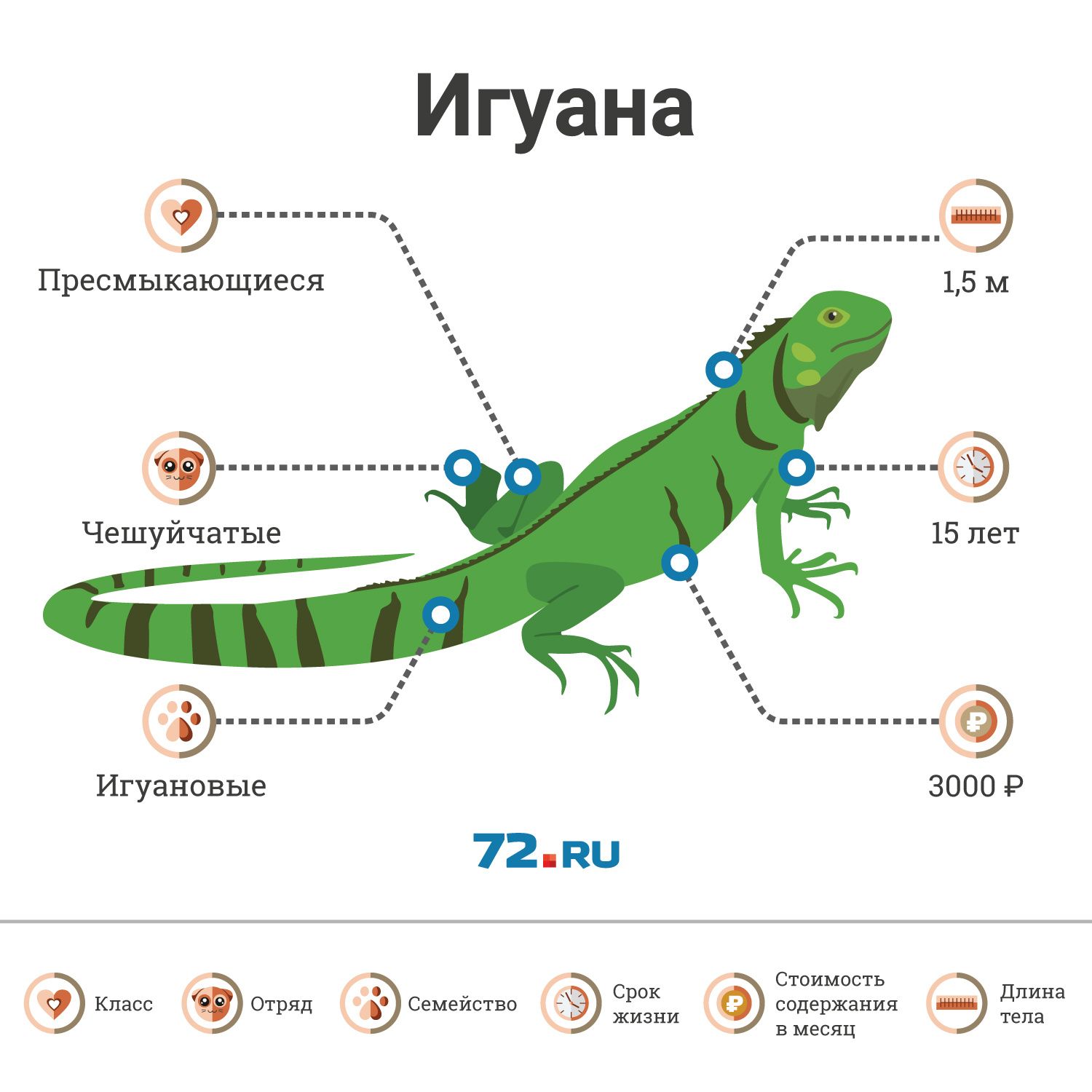 Читать онлайн «Игуана», Альберто Васкес-Фигероа – Литрес, страница 3