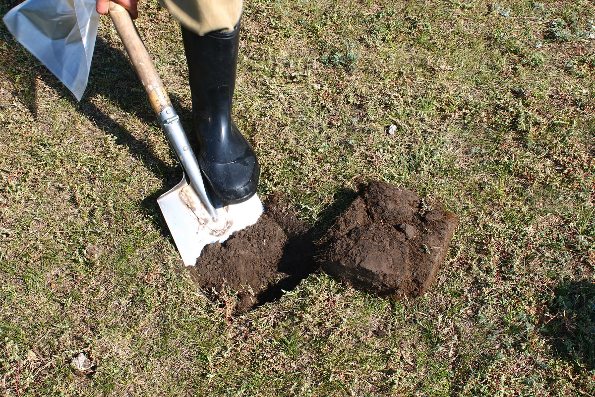 Отбор почв методы. Отбор проб почвы. Пробы почвы. Сбор проб почвы. Шпатель для отбора проб почвы.
