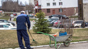В Самарской области благоустроят 1,5 тысячи дворов: объем работ зависит от активности граждан