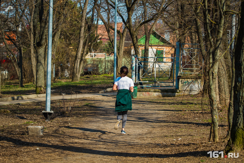 Большинство дончан хотят видеть в своих городах красивые парки Большинство дончан хотят видеть в своих городах красивые парки