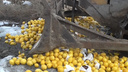 В Челябинской области уничтожили 800 килограммов испанских лимонов