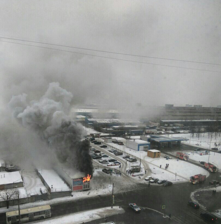 Яна Вейланд