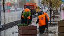 «Повтыкали как попало»: ростовские общественники раскритиковали высадку деревьев в городе