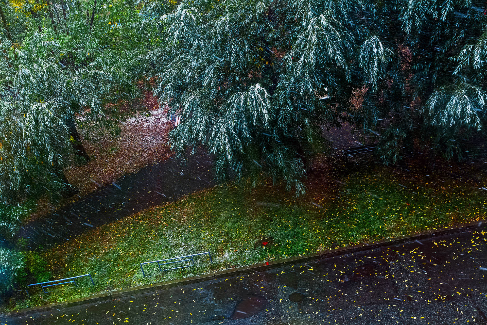 Тяжелые мокрые снежинки ложатся на еще зеленую листву деревьев