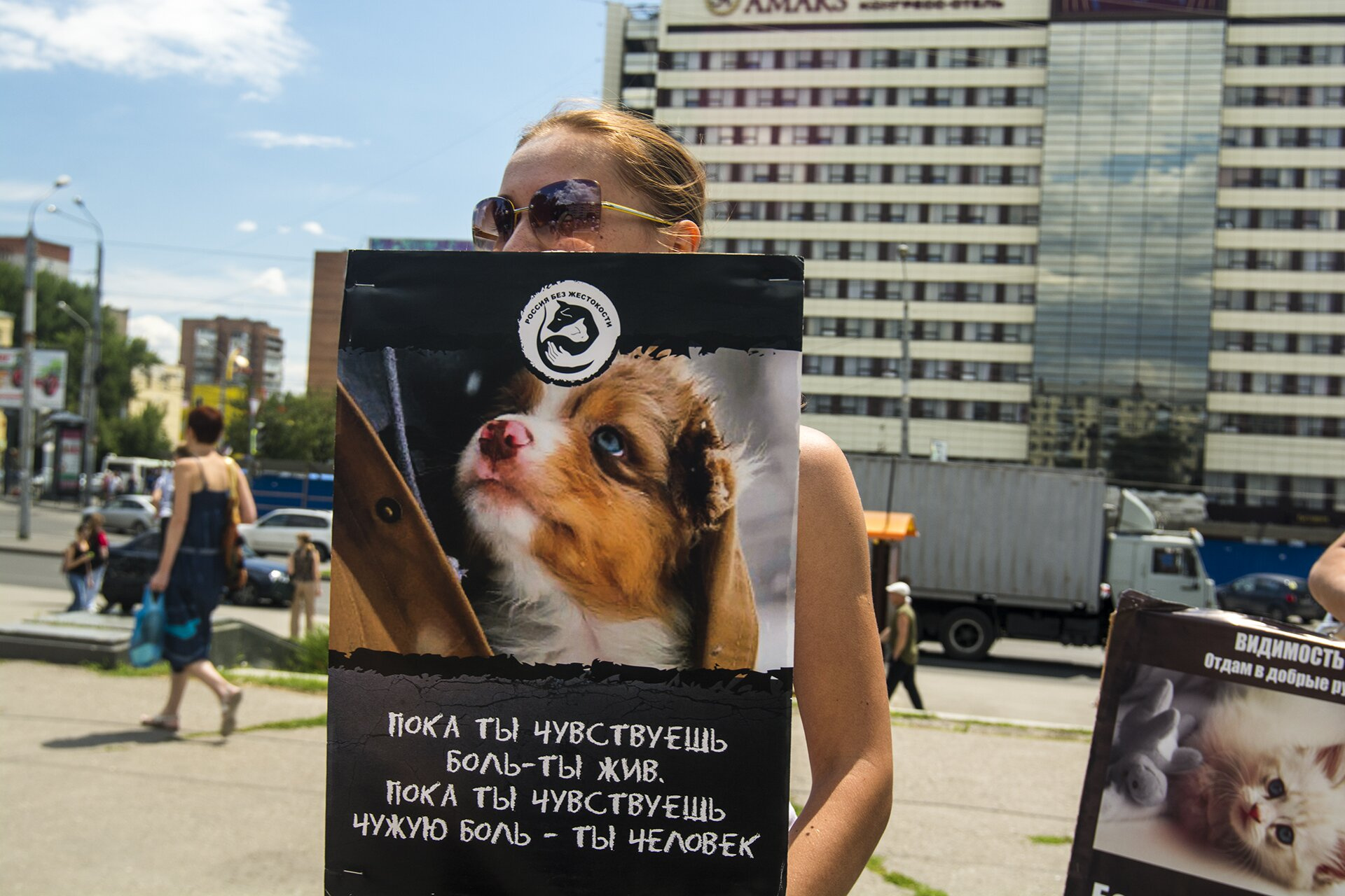Активистка призывает горожан быть человечнее по отношению к животным Активистка призывает горожан быть человечнее по отношению к животным