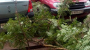 Порывистый ветер в Новодвинске повалил дерево на стоящие рядом автомобили