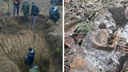 На Дону нашли останки 18-летнего солдата Великой Отечественной войны