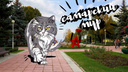 Пушистое нашествие в Самаре: в городе поселились гигантские коты