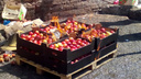 В Самаре на рынке на Олимпийской сожгли 135 кг польских яблок