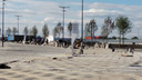Рабочие завершают укладку плитки у стадиона «Самара Арена»