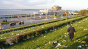 Волгоград признан одним из самых грязных городов России