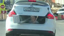 В Самаре оштрафовали водителя, перевозившего внука в багажнике Ford