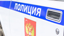 В Тольятти у менеджера полицейские изъяли кастет