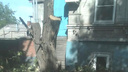 Инспекторы оштрафовали «Ростсельмаш» за спиленные деревья