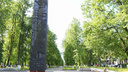 В Ярославле на мемориале Победы нарисовали свастику: кто ответит за изуродованный памятник