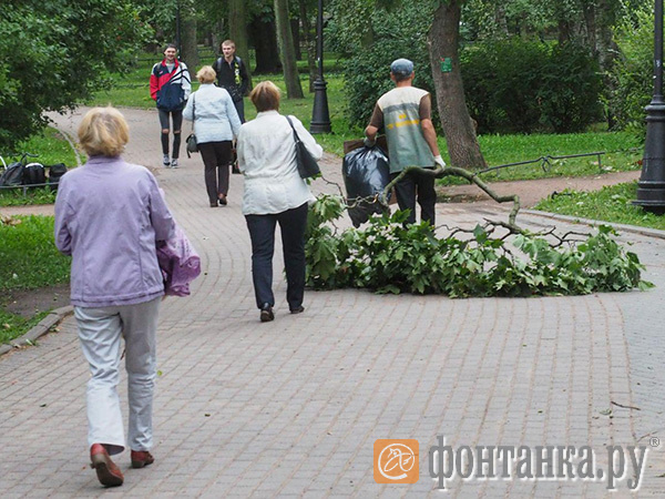 Михаил Огнев/"Фонтанка.ру"