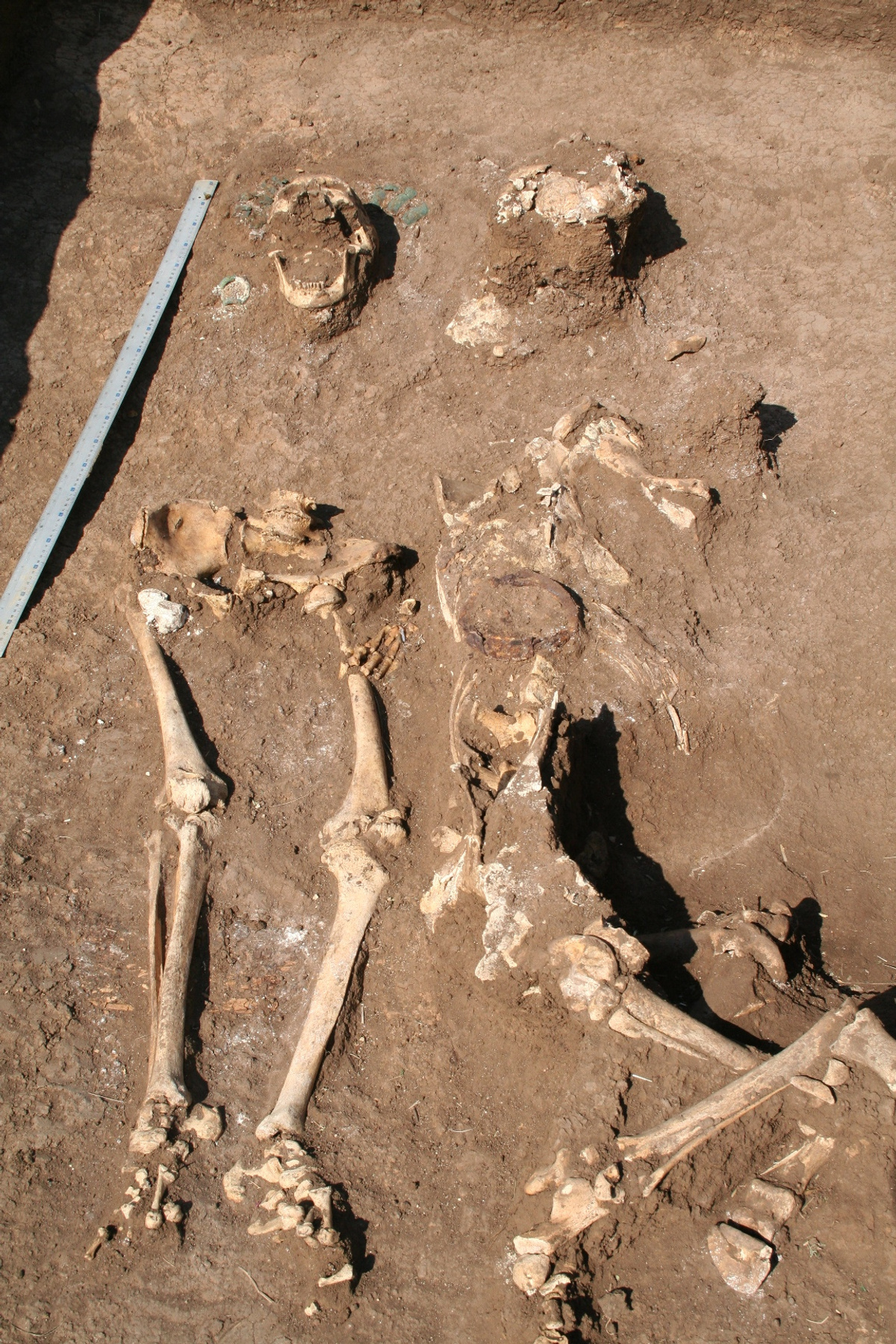 В могиле специалисты нашли два глиняных горшка и кости быка