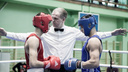 Боксеры Архангельской области взяли 12 наград на зональных соревнованиях