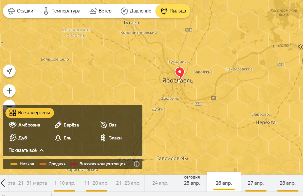 Пыльца санкт петербург. Карта пыльцы для аллергиков. Карта пыльцы для аллергиков Москва. Карта пыльцы березы.