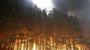 МЧС предупреждает о чрезвычайной пожароопасности в Волгоградской области