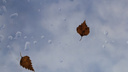 Заморозки и осадки: синоптики пообещали Поморью холодную пасмурную погоду