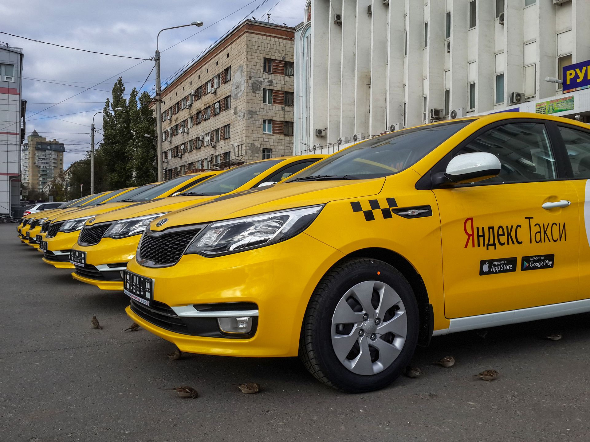 В Яндекс-такси не видят проблем ни с возрастом машин, ни с английским для водителей