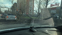 В районе рынка «Привоз» на дорогу упало дерево: пострадали две машины