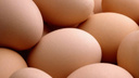 В детском саду Новочеркасска нашли опасные куриные яйца
