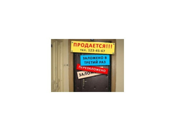 novostroy.su