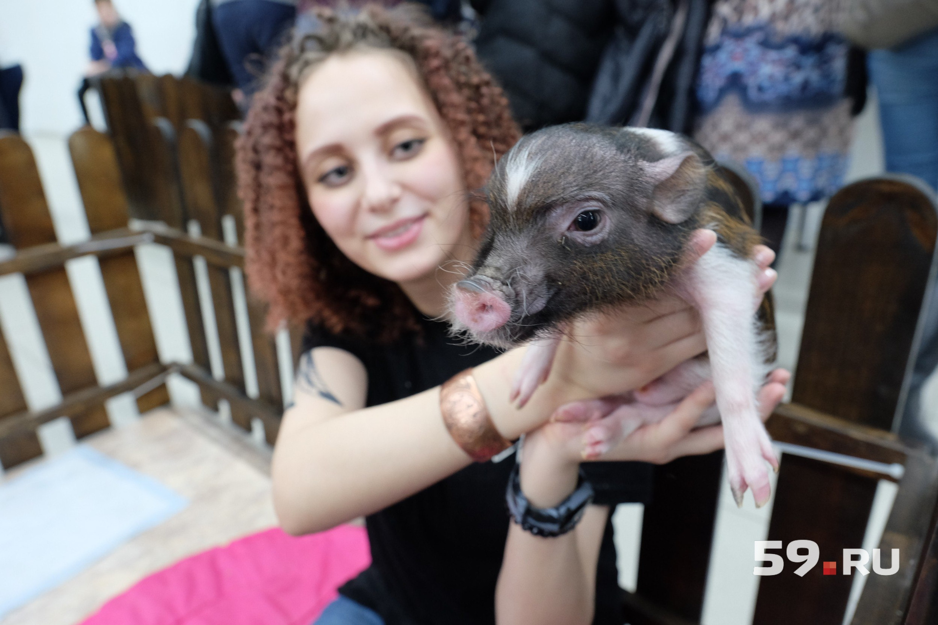 Самая маленькая свинка в мире