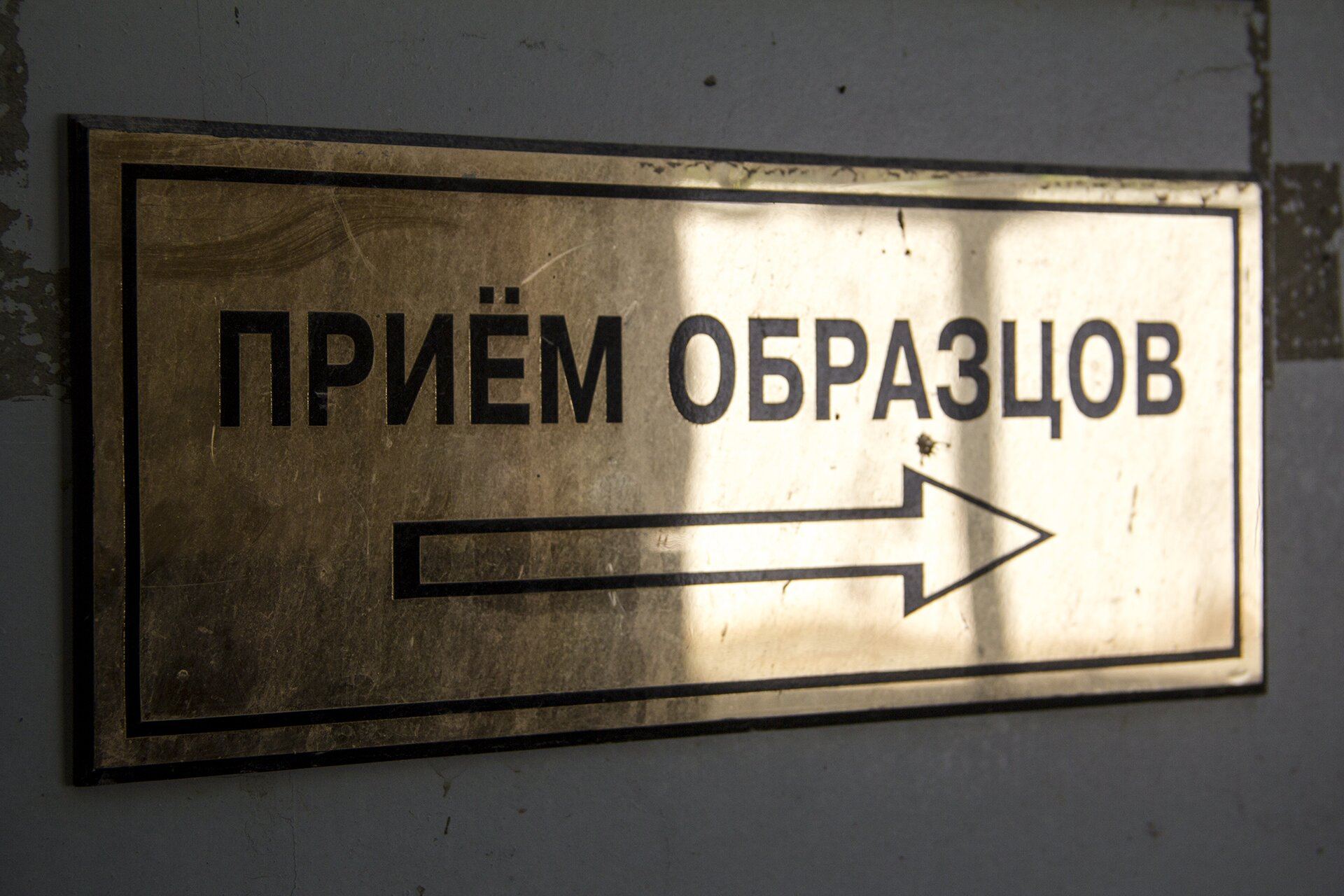Před zahájením studie je každý plod registrován a dostává své vlastní číslo