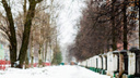 Синоптики рассказали, когда в Ярославле выпадет первый снег