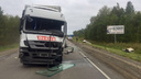 На трассе в Челябинской области столкнулись грузовик и легковушка