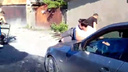 Автомобилист провез на капоте мужчину во дворе ЗЖМ