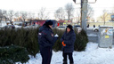 Из Челябинска депортируют троих продавцов новогодних ёлок