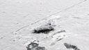 Тело вмёрзло в лёд: в Самаре на Волге погиб рыбак