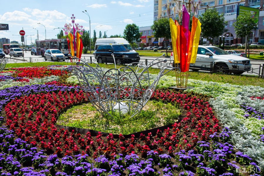 Клумба екб. Цветники в городе. Клумбы Екатеринбурга. Растения в городе.