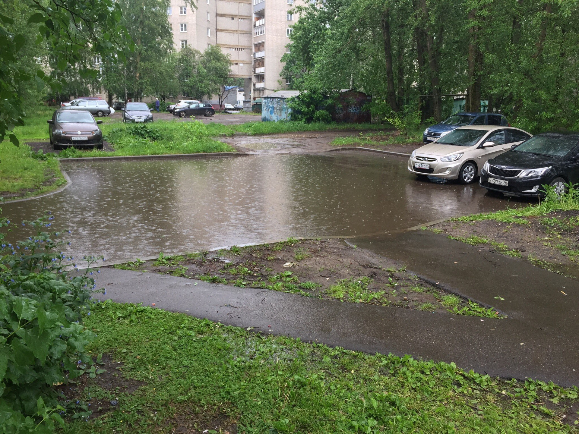 Здесь только вплавь Здесь только вплавь