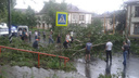 Разбитые автомобили, рухнувшие деревья и рекламные конструкции: Тольятти накрыл мощный ураган