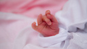 В Плесецком районе по вине медиков погиб новорожденный