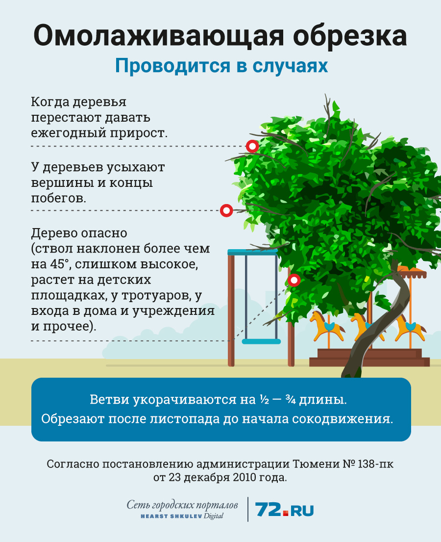 Формовочная обрезка деревьев схема