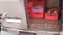 В Самаре уничтожили около 100 кг сазанов и карасей из-за отсутствия документов