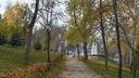 Построят ливневую канализацию: ремонт Струковского сада вышел на второй этап