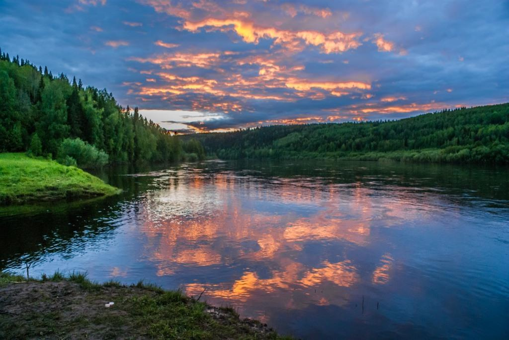 Речка убрать. Золотая осень Вишера Пермский край. Растения реки Вишера Пермский край. Красивая природа Пермского края. Река Урал - красивые виды