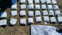 Сотрудники ФСБ из Челябинской области помогли изъять наркотики на 400 млн рублей