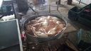 Грязь и запах тухлятины: на Дону обнаружили подпольный цех по производству мяса птицы